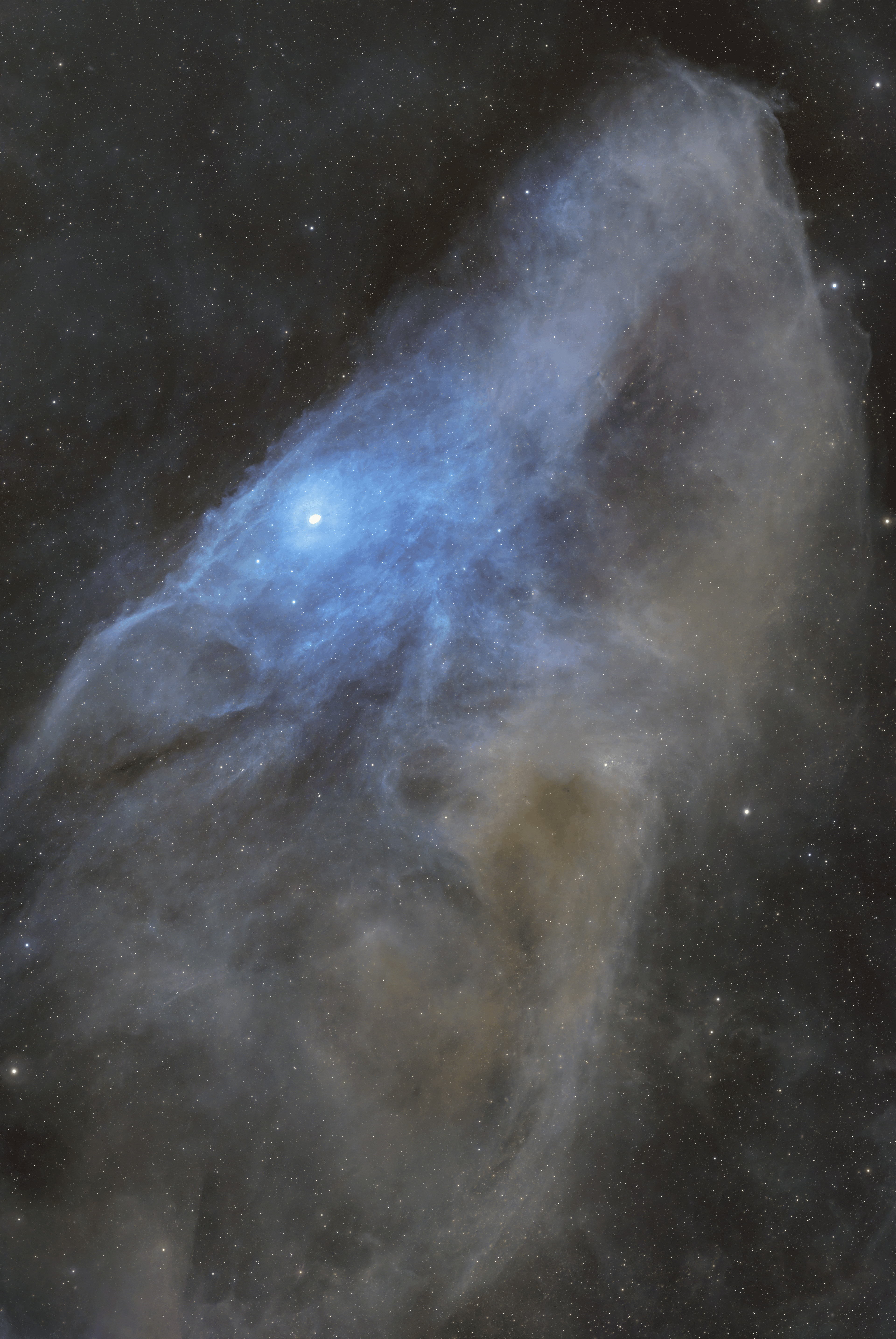 IC 4592 — Blue Horsehead Nebula