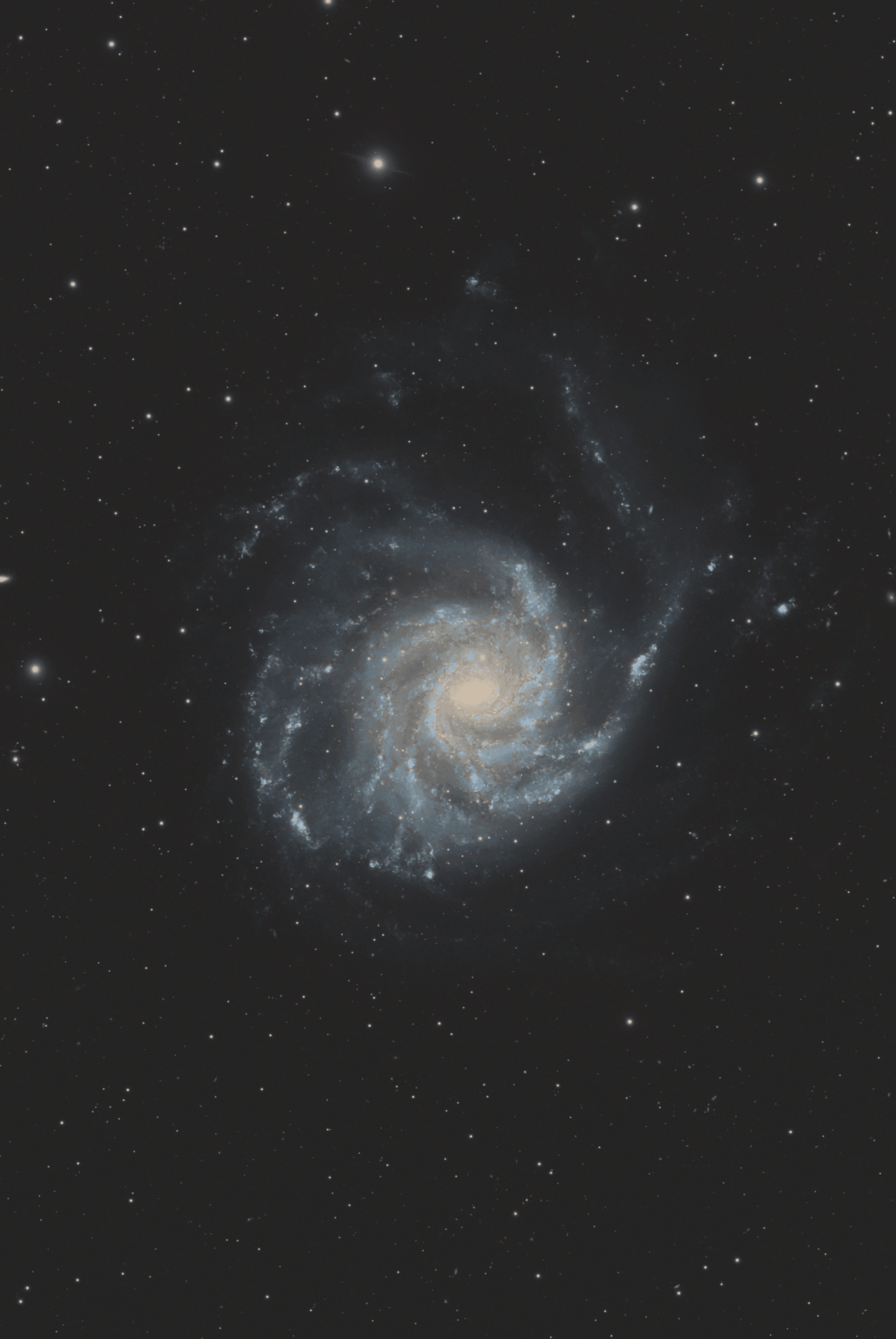 M101 — The Pinwheel Galaxy